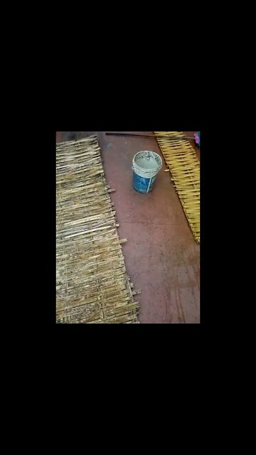 limpeza de mofo# bolor,#manchas#fungos#de painel de bambu#shorts