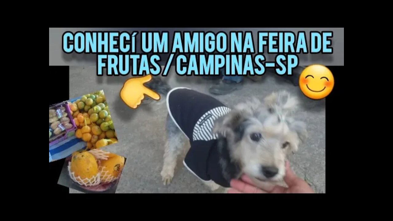 Conhecí um AMIGO na Feira de Frutas CAMINHÃO das FRUTAS/Campinas-SP Dona MIDI conscientizou o rapaz