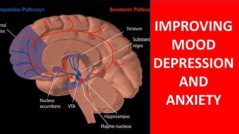 How To Improve Mood, Depression and Mental Health Naturally