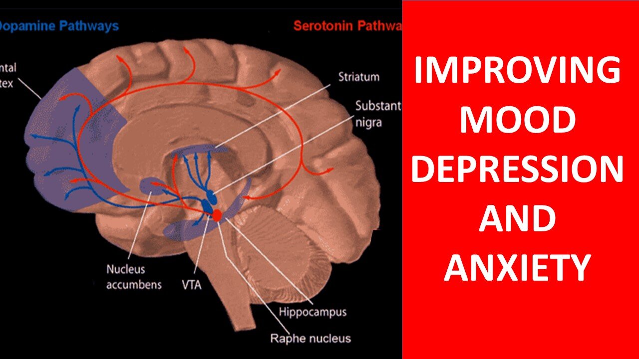 How To Improve Mood, Depression and Mental Health Naturally