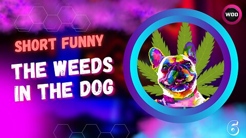 The Weeds in the Dog lol