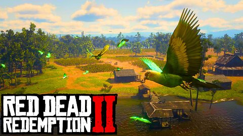 Red Dead Redemption 2 | Where to find the Carolina Parakeets | RDR 2