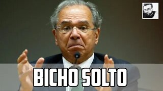 PAULO GUEDES MANDANDO NA LATA