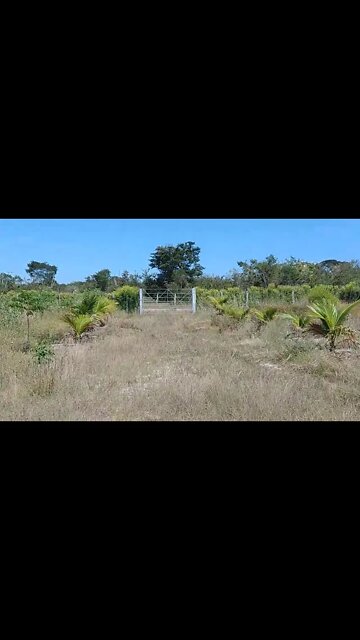 Base fundação Alicerce da Futura casa aqui no Rancho Dutra