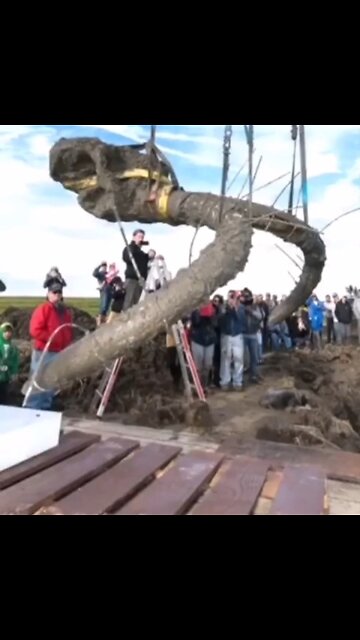 This Farmer Dug Up Something That's Truly Remarkable