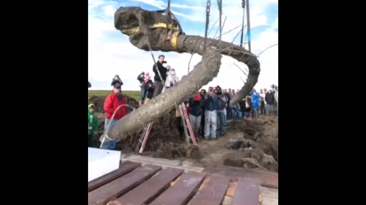 This Farmer Dug Up Something That's Truly Remarkable