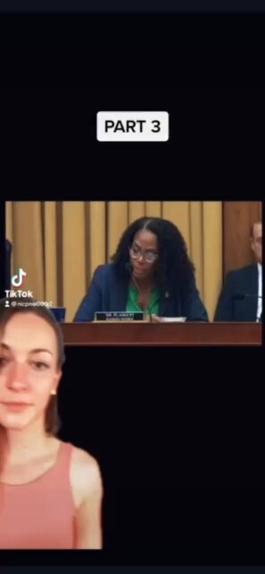 What Did The Democrats Lie About Today: Plaskett