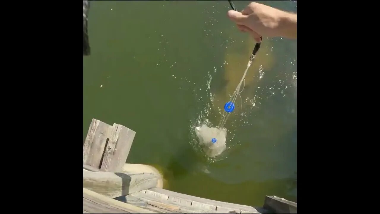 fishing booker t park