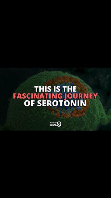 This Is the Fascinating Journey of Serotonin