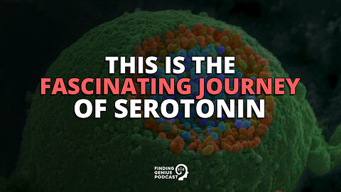 This Is the Fascinating Journey of Serotonin