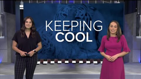 Zoo Boise animals cool off as temperatures heat up