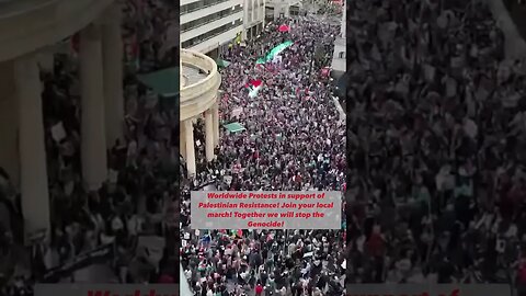🇵🇸✊🚨Now is the time to support Palestinian Resistance worldwide! Join your local protest!