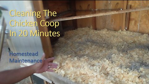 Cleaning The Chicken Coop In 20 Minutes