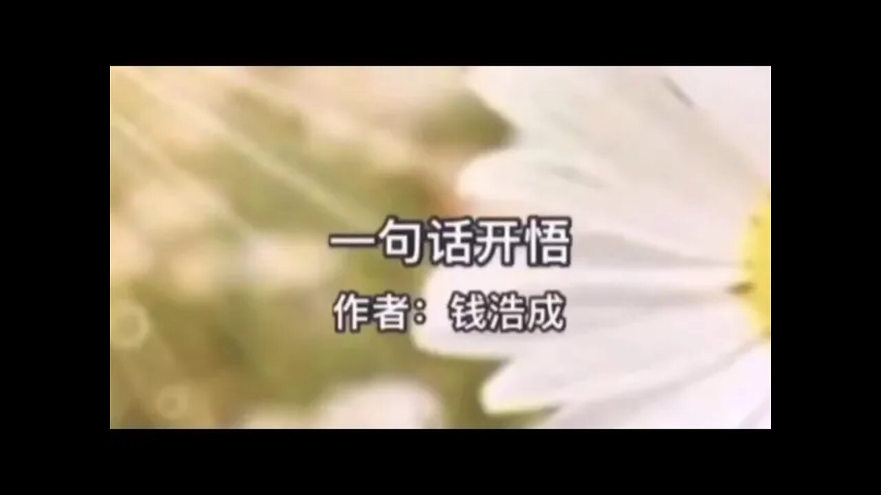 一句话开悟【开悟堂】