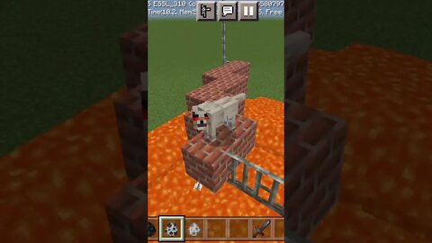 What is the IQ of skeleton and dog😏😏 || #shorts #minecraftpe