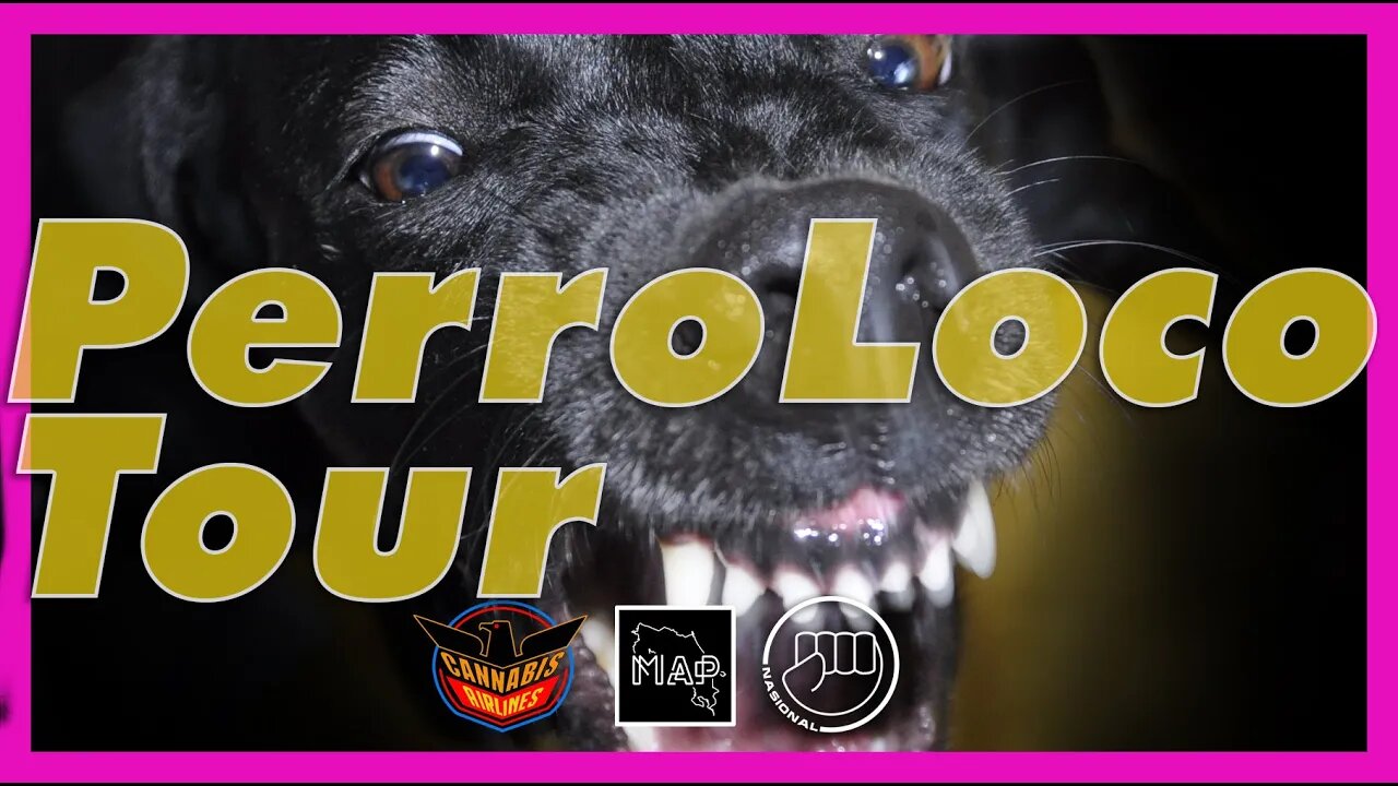 PERRO LOCO TOUR MEXICO MMXVII (2022) [NASIONAL SKATEBOARDS]