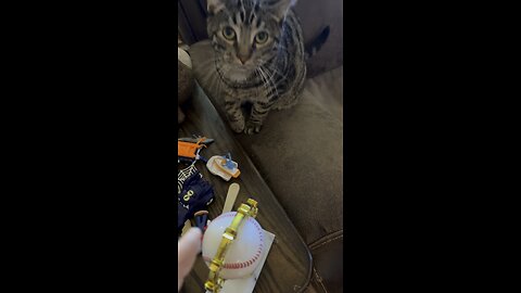 Wednesday Whiskers with SPH in Princess won a baseball trophy! Hazel Basel Easter Egg! #funny