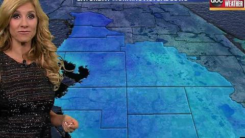 Action Weather Forecast