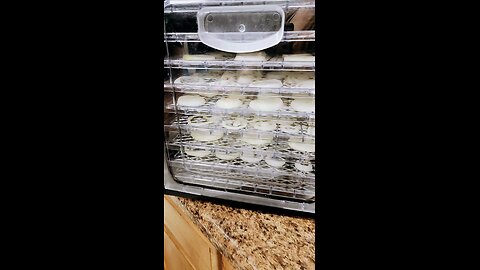 Dehydrating Onions