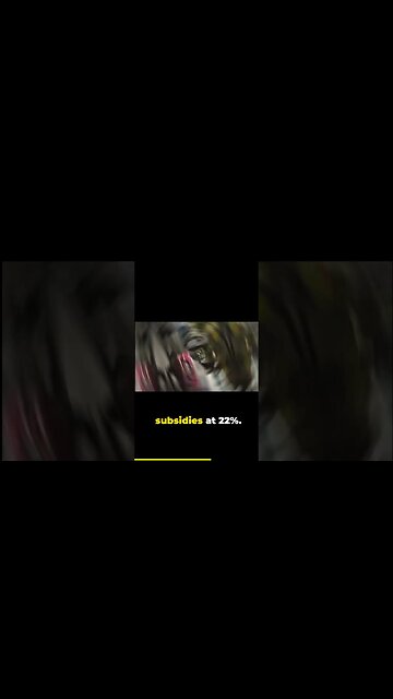 fuel subsidies and smuggling in the middle east