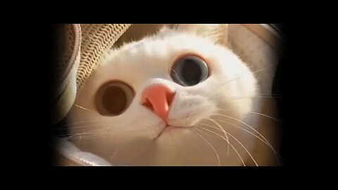 WARNING: Best FUNNY CAT videos!!!(30 seconds or less)