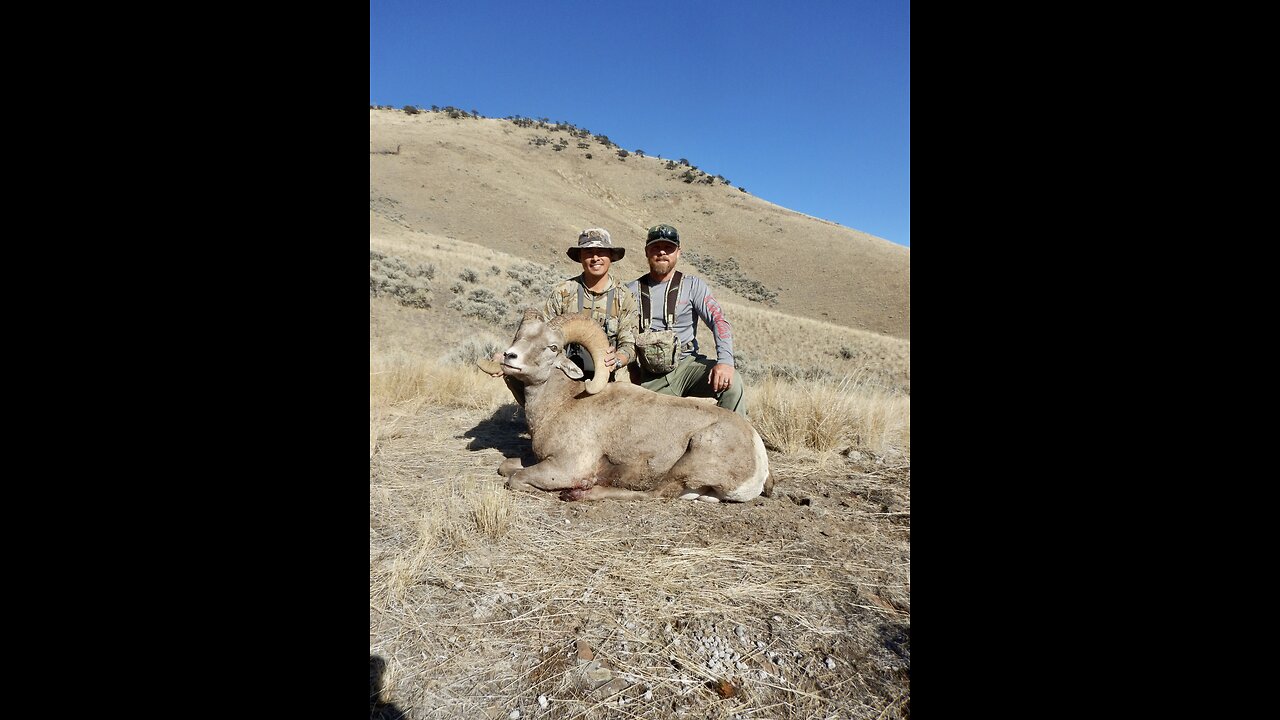 MyChron2.0 tewong/tekstrom 2021 Idaho Bighorn Sheep Hunt