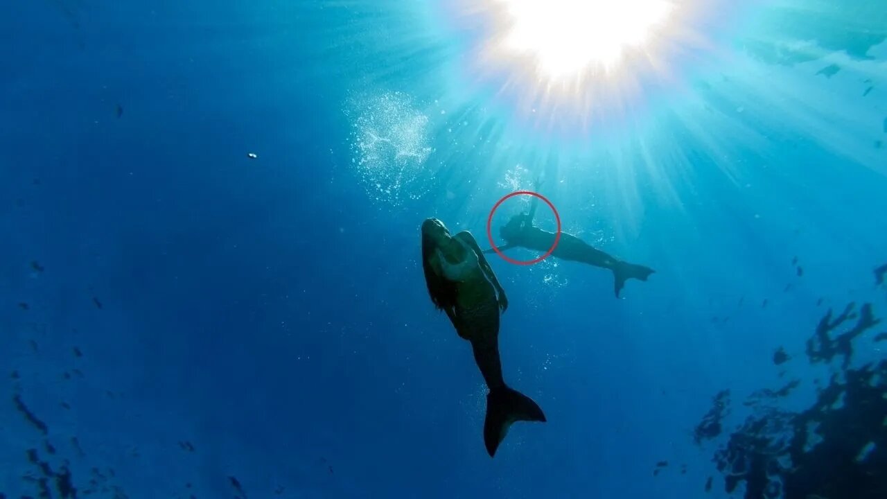 LA SIRENA Y LA MUÑECA ( Una Muñeca y una Sirena )