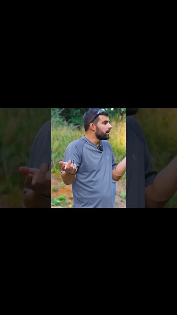 What about bolt guns? TOP 3 Budget Hunting Optics