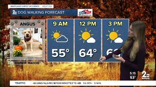 Good Morning Maryland Weather- Stevie Daniels