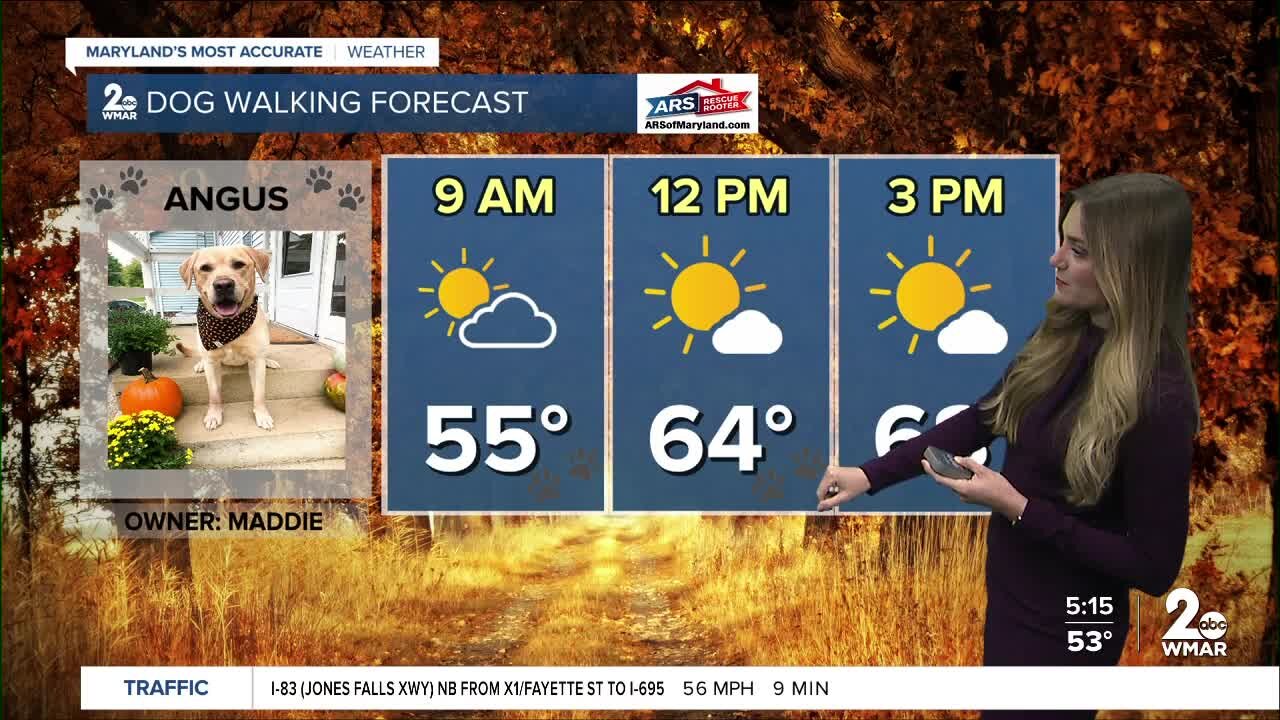 Good Morning Maryland Weather- Stevie Daniels