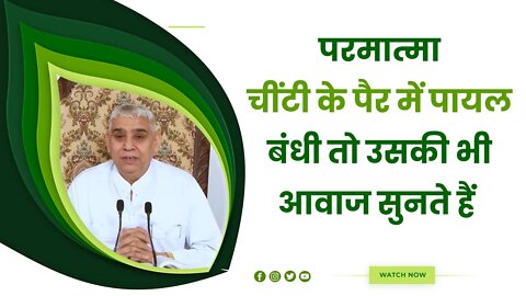 परमात्मा चींटी के पैर में पायल बंधी तो उसकी भी आवाज सुनते हैं | Sant Rampal Ji Satsang SATLOK ASHRAM