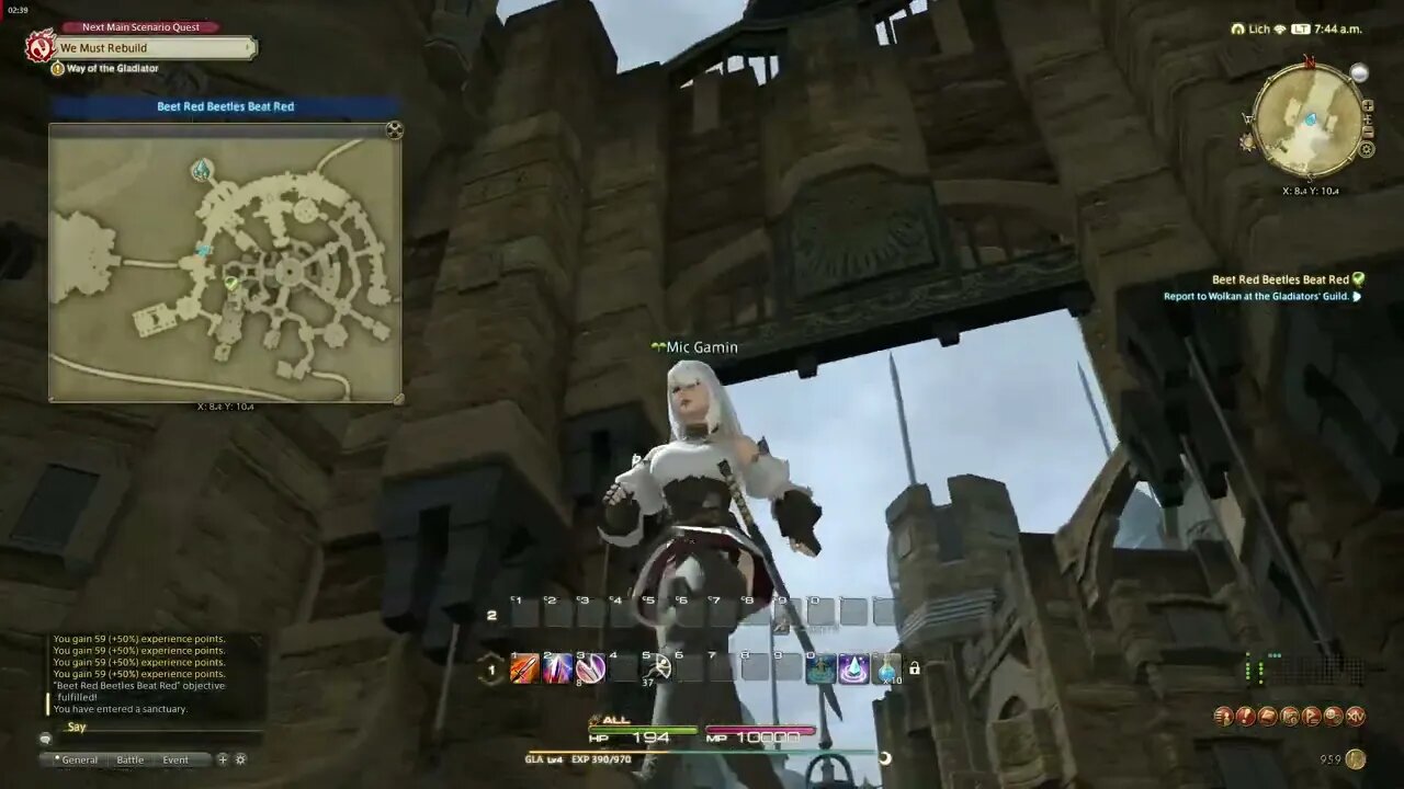 Final Fantasy XIV Online MMORPG Beet Red Beetles Beat Red