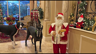 Happy Great Danes Goodbye Christmas Decor & Hello New Year Home & Garden Tour
