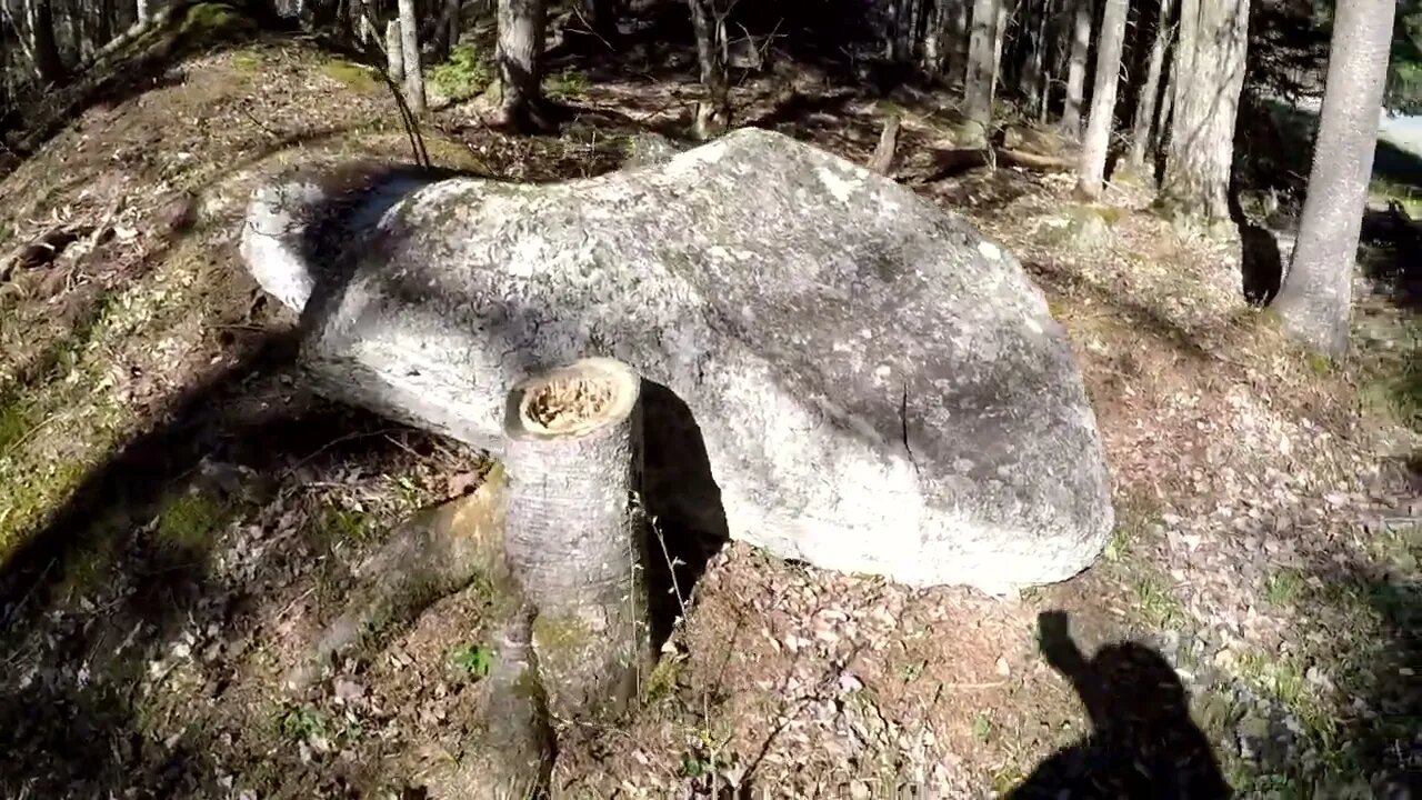 Bike Ride To Putts Pond With The GoPro