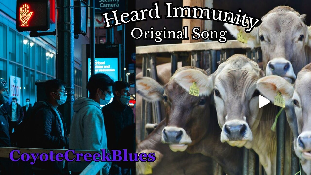 Herd Immunity An Original Song By Coyote Creek Blues