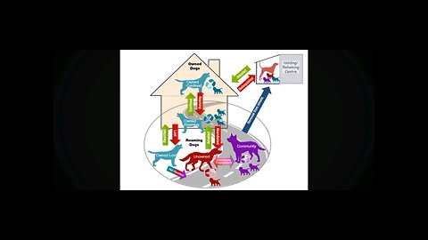 The acquisition of dogs may How we acquire our dogs can lead to higher risk of abandonment