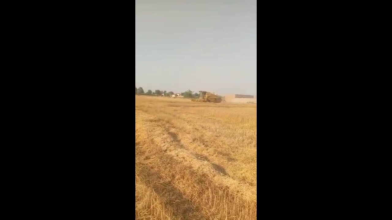 Wheat 🌾 cutting machine 👍 enjoy this video