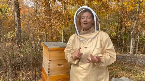 Feeding the Bees 🐝 #falltime #bees #hive #homestead Chamberlin Family Farms “Naturally Good”