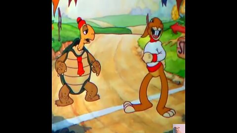 rabbit cartoon video