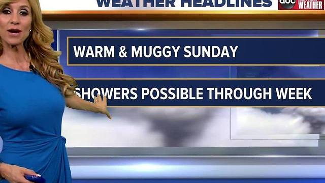 Action Weather Forecast