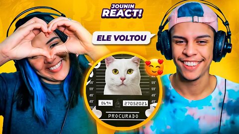 VMZ - Cadê Meu Gato? 😺 | [React em Casal] 🔥