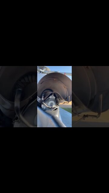 #shorts #2022 funny,prank,funjokes,dad jokes,funny memes,funny video,fun,laughing,funny animal,knock