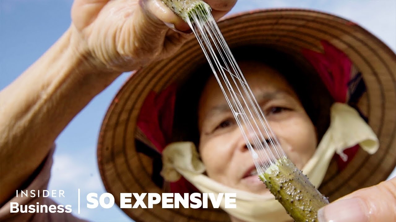 Why Lotus Silk Is So Expensive | So Expensive | Global Insight News