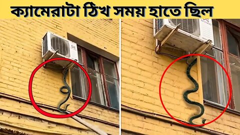 আপনার যদি এয়ার কন্ডিশনার থাকে, তাহলে অবিলম্বে এটি করুন।