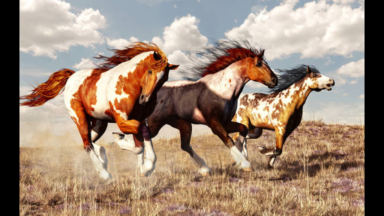 Amazing and less known facts about wild animals.The last one is the best .