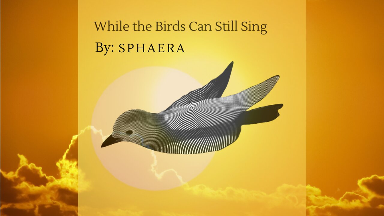 While The Birds Can Still Sing