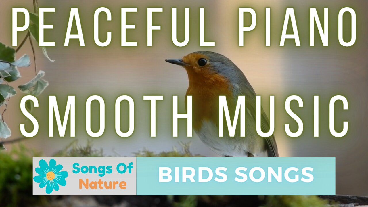 Peaceful Piano Smooth Music 🌿Morning Singing Birds 🌿Calm Music for Stress and Mind Relief 🌿