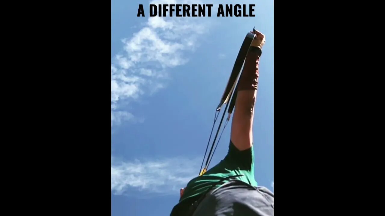 Frog Perspective Turkish Bow
