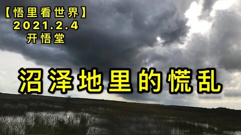 KWT1017沼泽地里的慌乱20210204-9【悟里看世界】