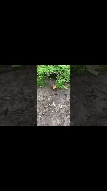 Side effect after lock down , # short